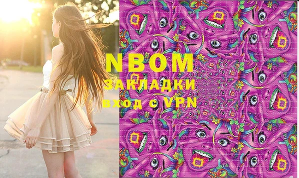 индика Вязьма